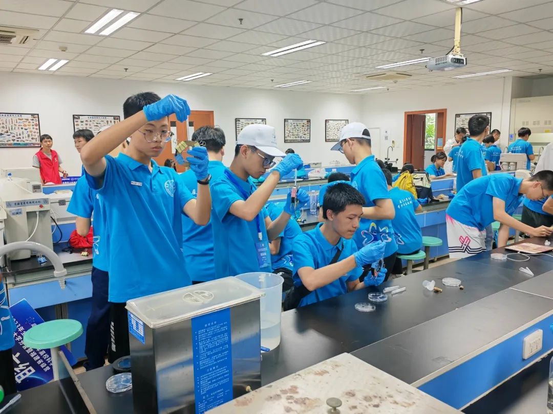 1691567931122640.jpg 640 (6).jpg