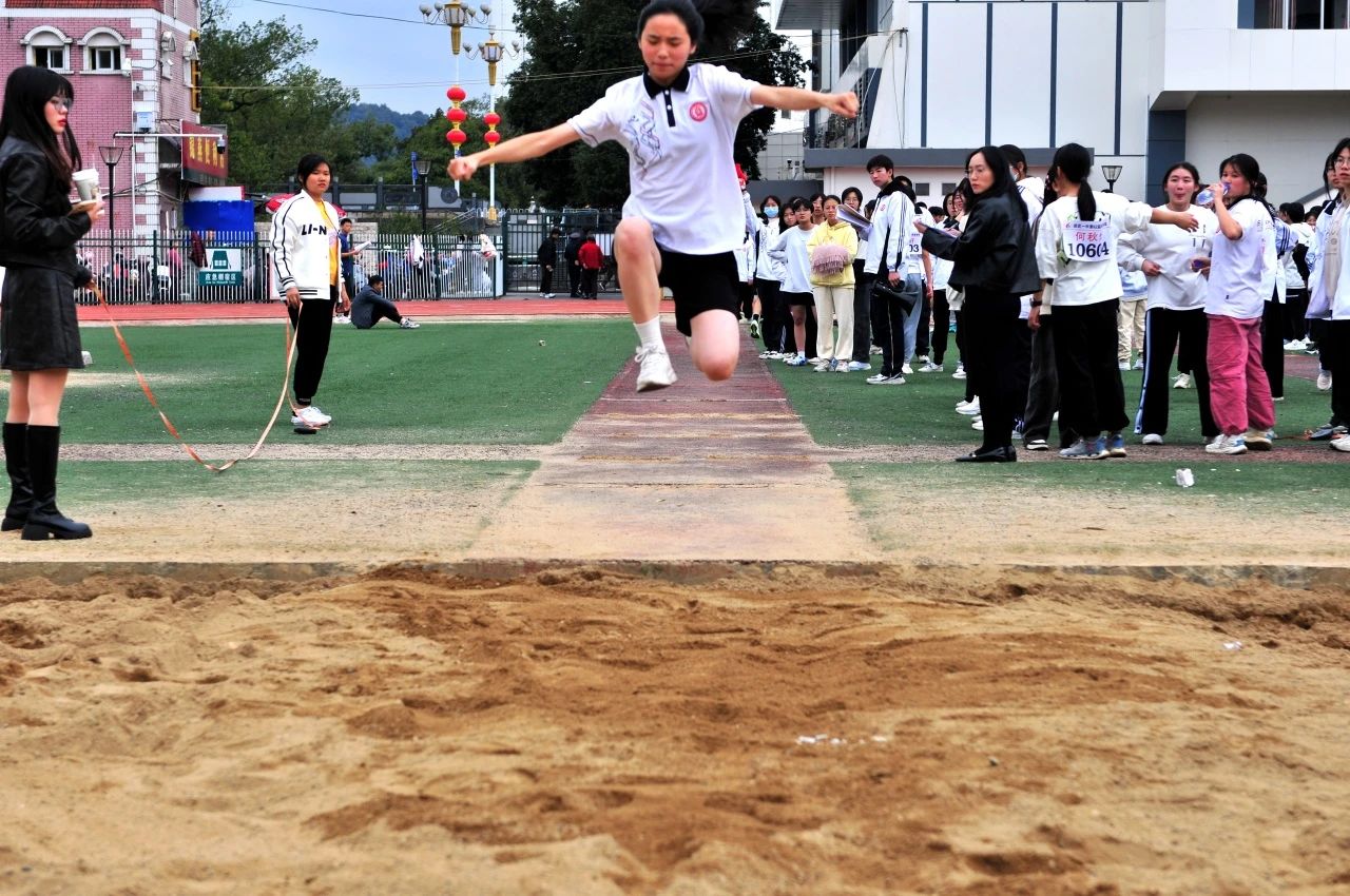 1703645044492240.jpg 724cd7beb5e25e0ee5aa82ab0a6de3a8.jpg