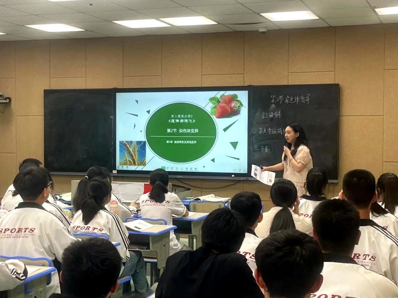 1717141244124624.jpg 3.jpg