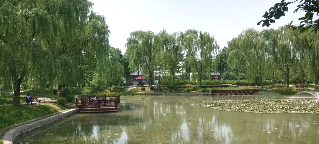 1717666026472402.jpg bf4e98a8a5afaf0de8eaa784b6d0014f.jpg