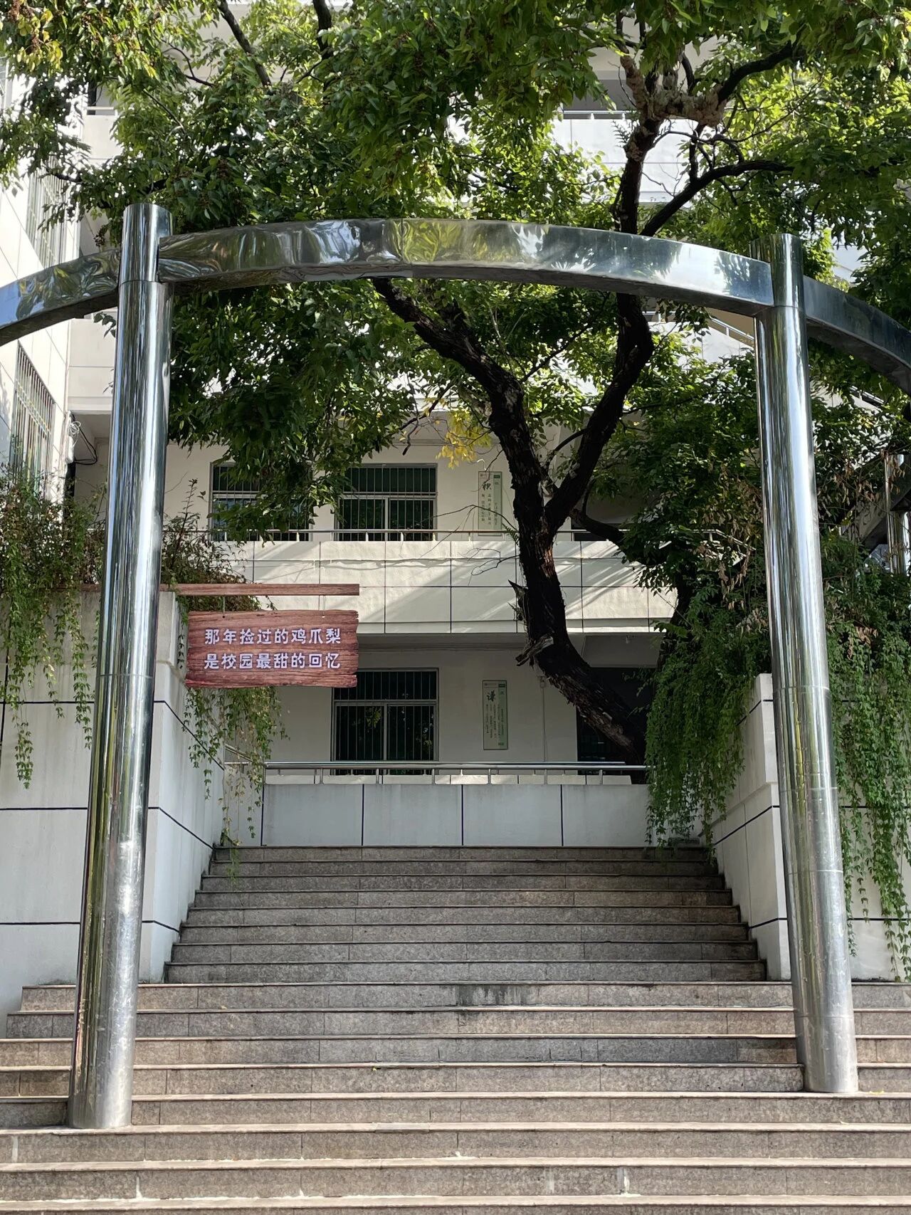 1763516643128751.jpg 微信图片_20251119091816.jpg